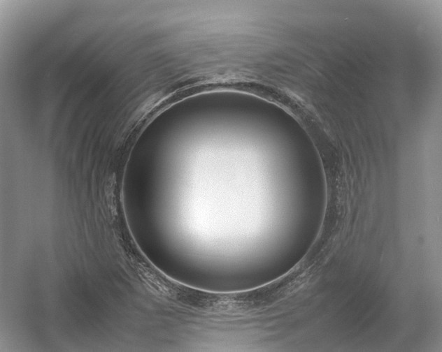 X0000054371265200508051546