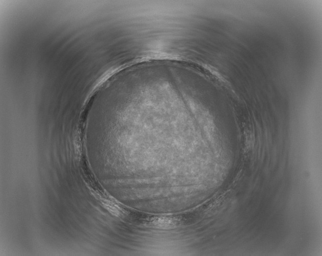 X0000054371266200508051546