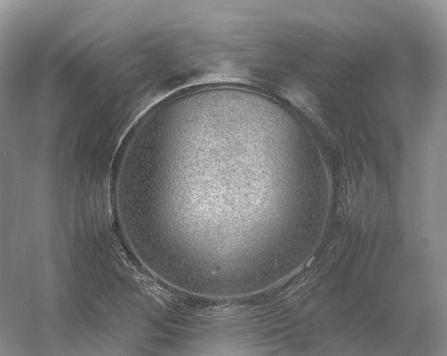 X0000054371268200508051546