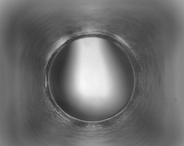 X0000054371269200508051546