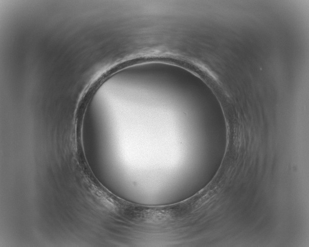 X0000054371270200508051546