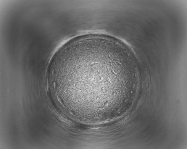 X0000054371271200508051546