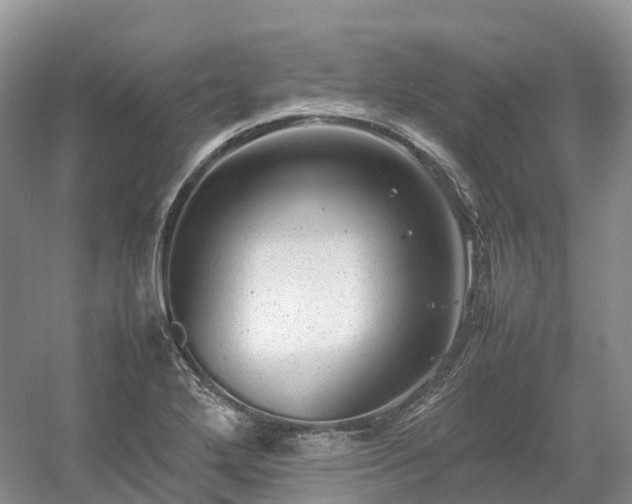 X0000054371272200508051546