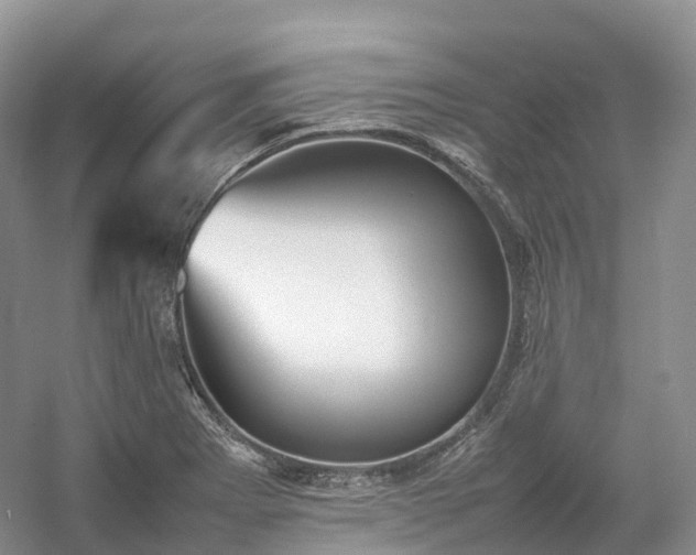 X0000054371273200508051546