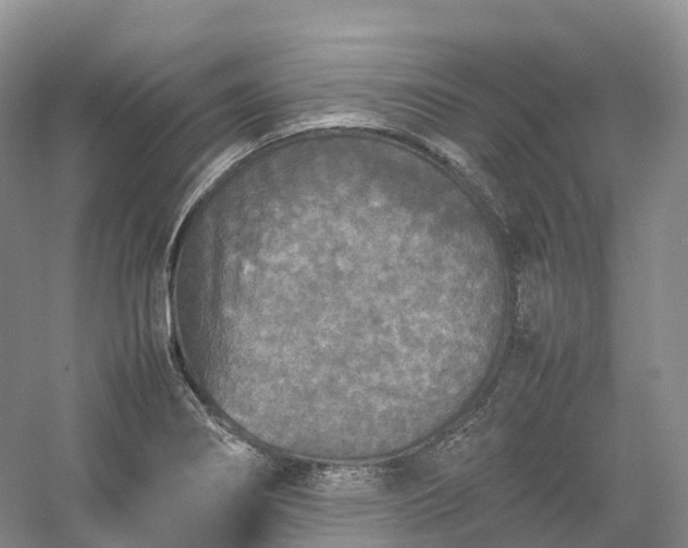 X0000054371274200508051546