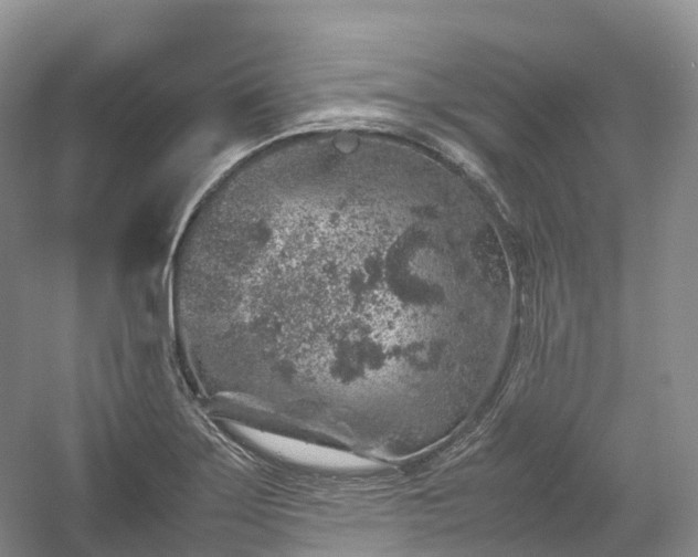 X0000054371275200508051545