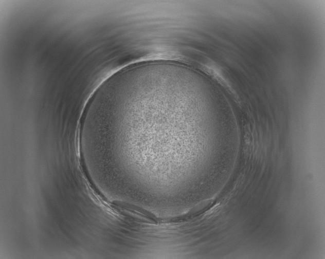 X0000054371276200508051545