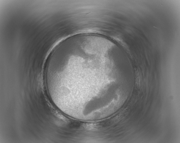 X0000054371278200508051545