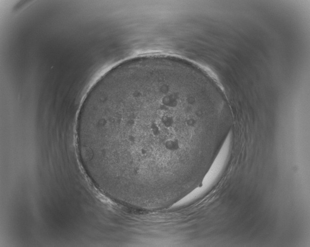 X0000054371279200508051545