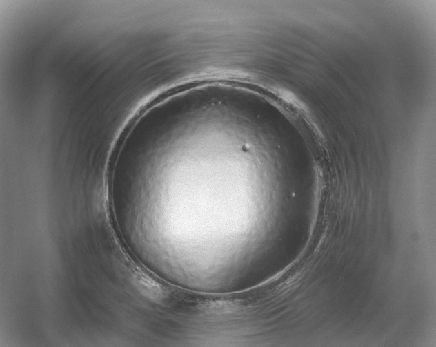 X0000054371280200508051545