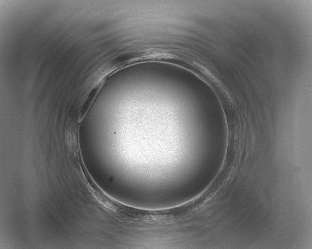 X0000054371281200508051545