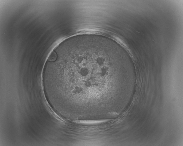 X0000054371283200508051545