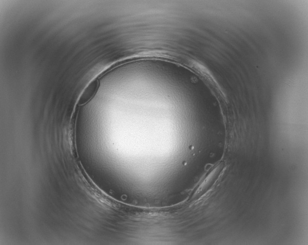 X0000054371284200508051545