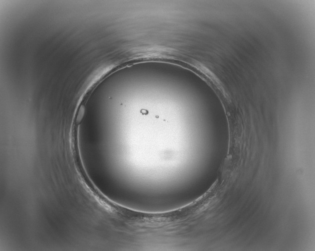 X0000054371285200508051545