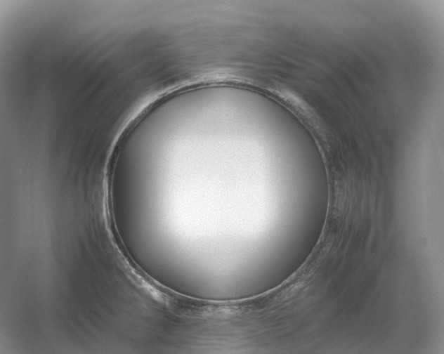 X0000054371286200508051545