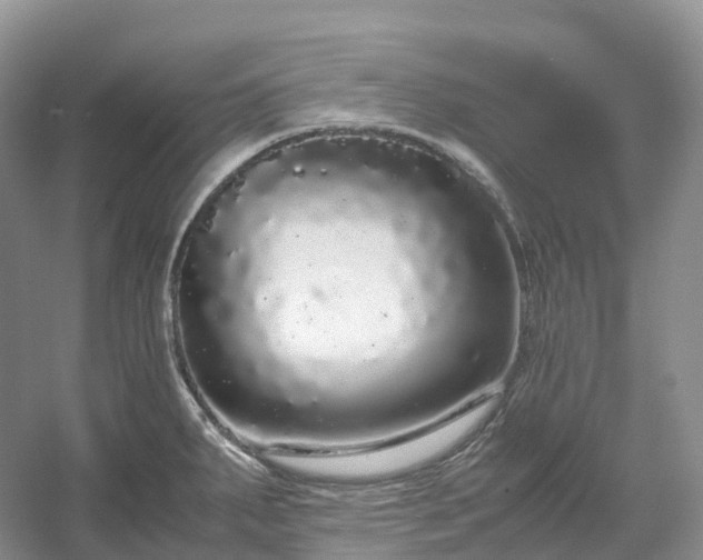 X0000054371287200508051545