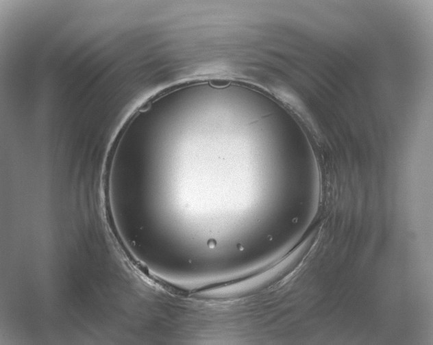 X0000054371288200508051545