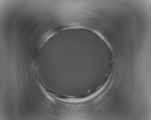 X0000054371289200508051545