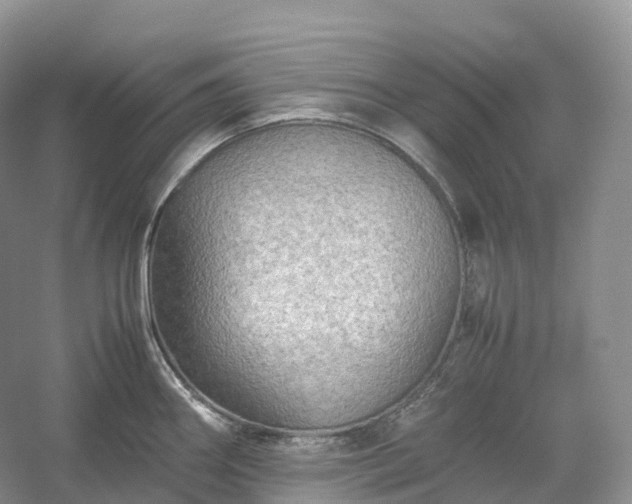 X0000054371290200508051545