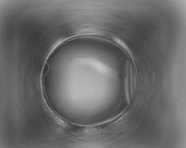 X0000054371291200508051545