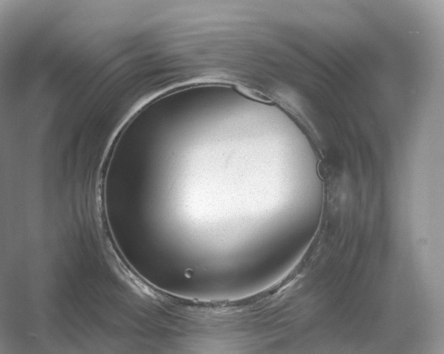 X0000054371292200508051545