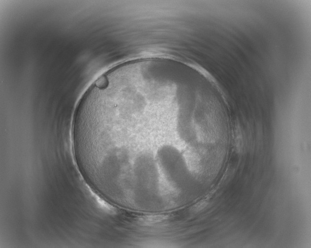 X0000054371294200508051545