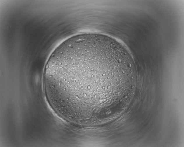 X0000054371295200508051545