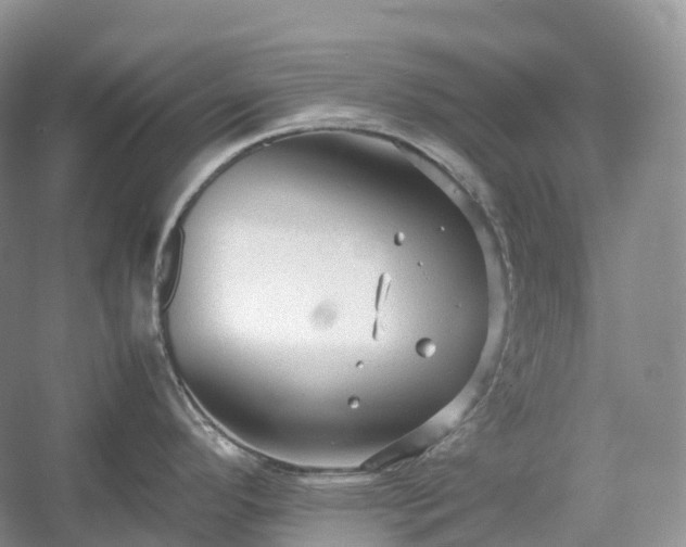 X0000054371296200508051545