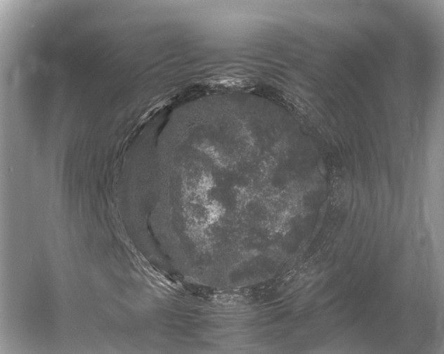 X0000054371297200508051544