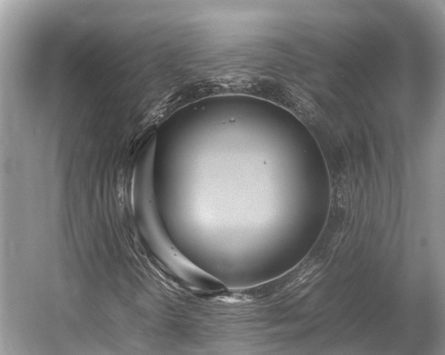 X0000054371298200508051544