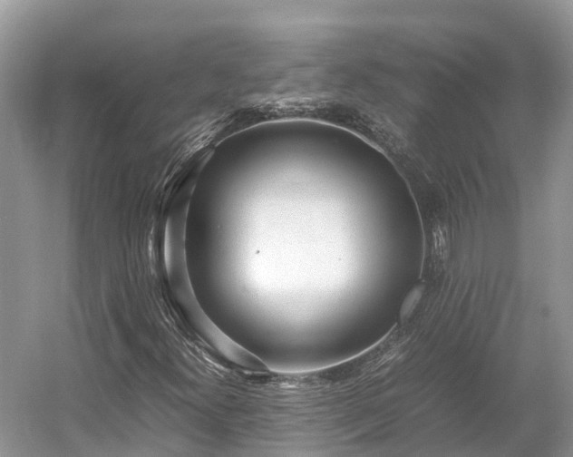 X0000054371300200508051544