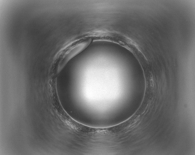 X0000054371304200508051544