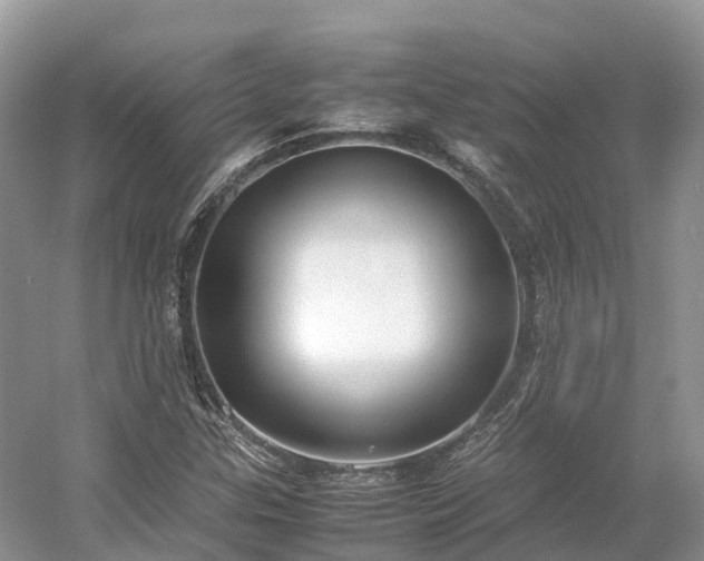 X0000054371307200508051544