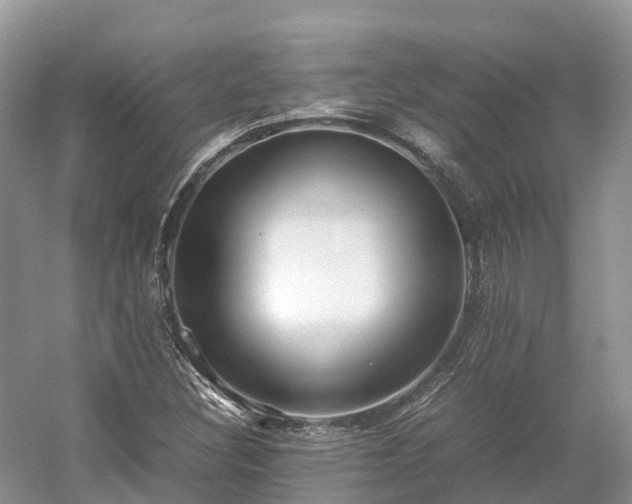 X0000054371308200508051545