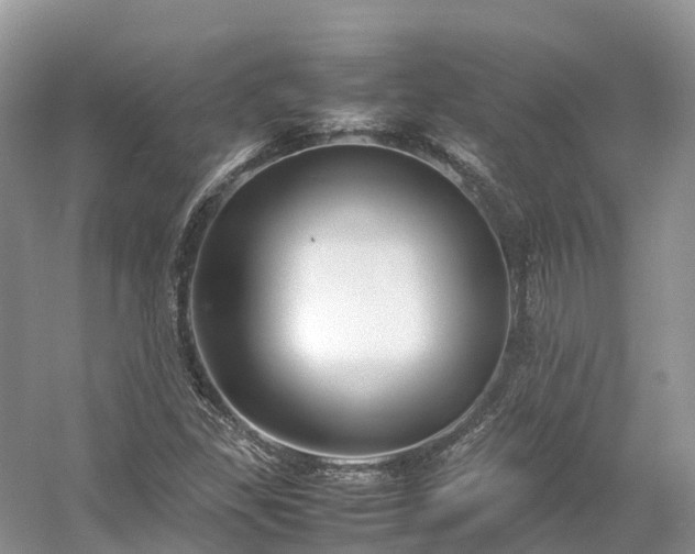 X0000054371309200508051545