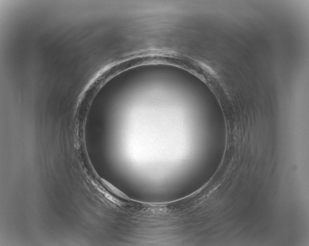 X0000054371310200508051545