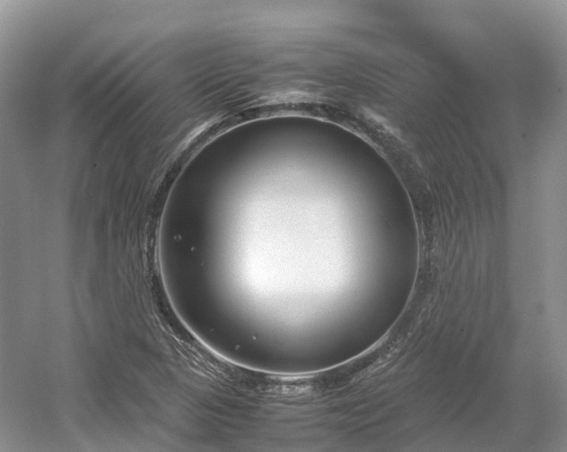 X0000054371313200508051545