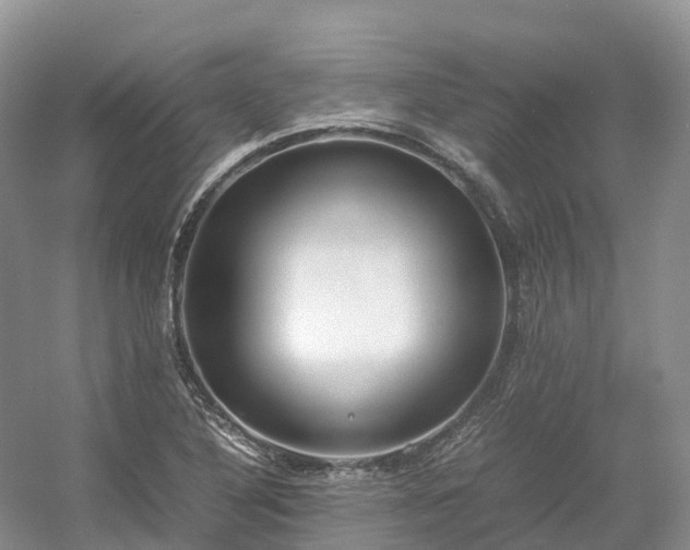 X0000054371316200508051545