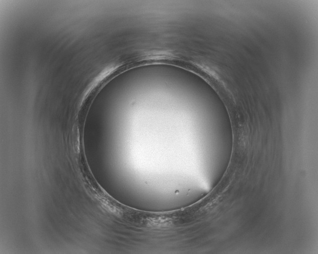 X0000054371317200508051545