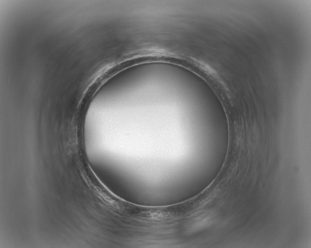 X0000054371318200508051545