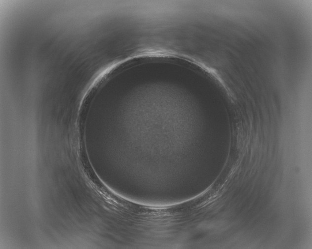 X0000054371319200508051545