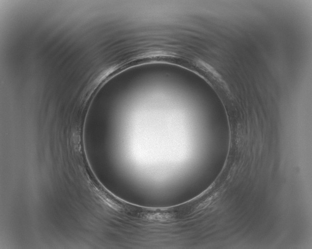 X0000054371321200508051545