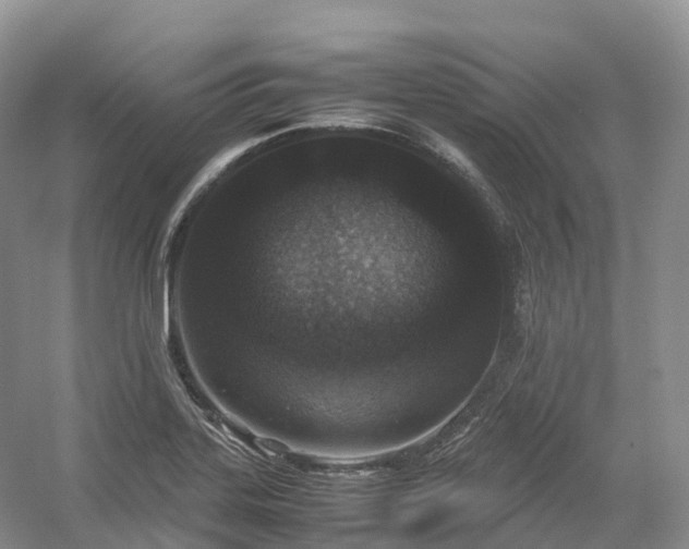 X0000054371323200508051545