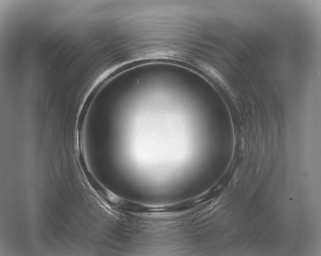 X0000054371324200508051545