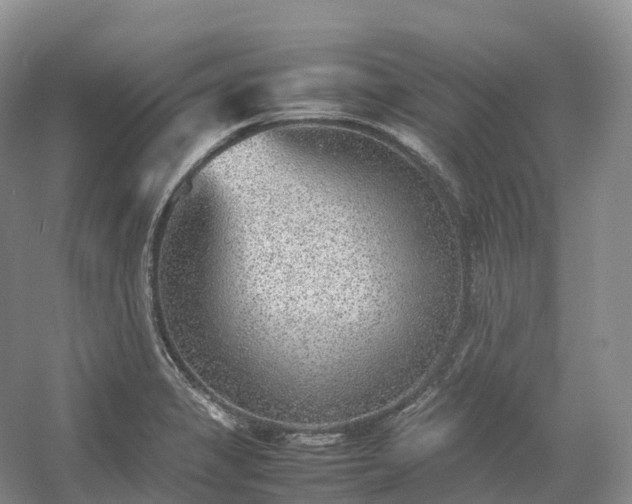 X0000054371325200508051545