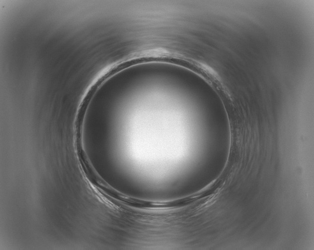 X0000054371326200508051545