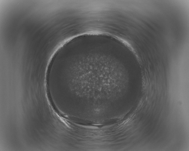 X0000054371327200508051545