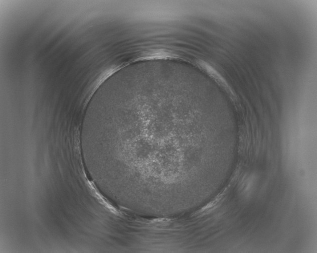 X0000054371329200508051545