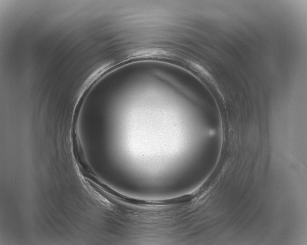 X0000054371330200508051545