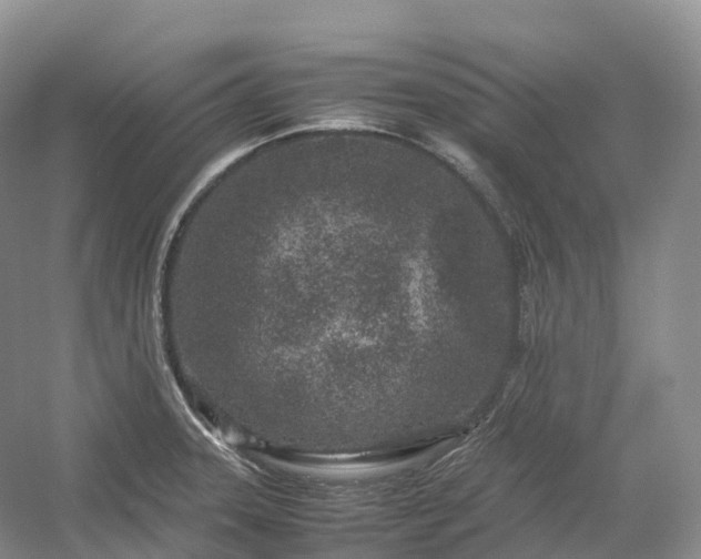 X0000054371331200508051545